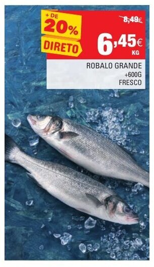Continente Robalo Grande +600g Fresco promoção