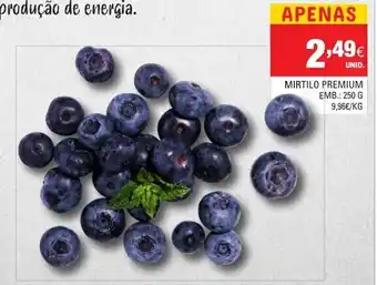 Continente Mirtilo Premium 250g promoção