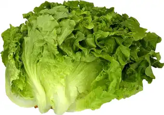 Makro Alface Frisada Categoria I Caixa ±4Kg promoção