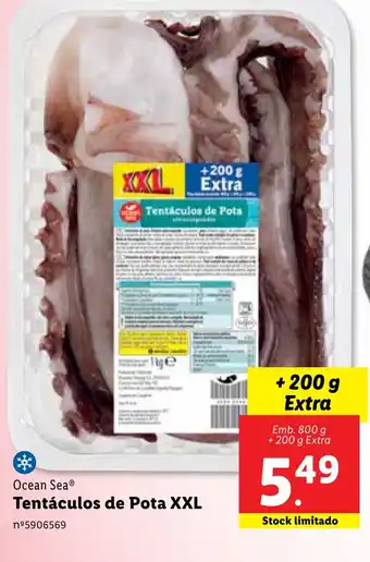 Lidl Ocean Sea Tentáculos de Pota XXL promoção