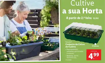 Lidl Parkside Conjunto de Caixas de Cultivo promoção