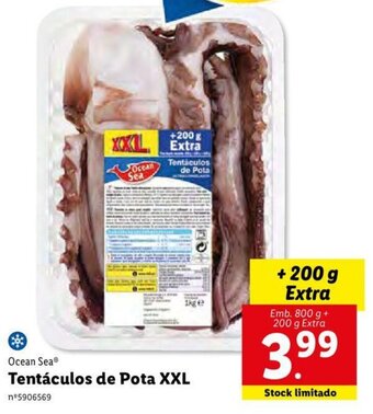 Lidl Ocean Sea Tentáculos de Pota XXL promoção