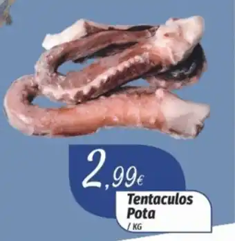 Tentaculos Pota /KG