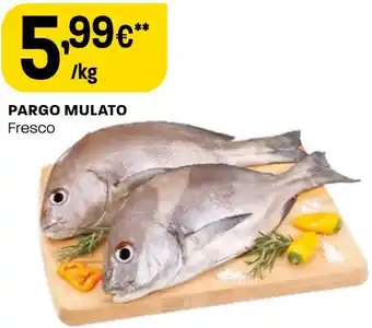 Intermarché PARGO MULATO Fresco promoção