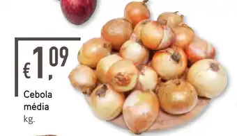 Bolama Cebola média kg. promoção