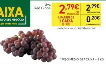 Recheio Uva Red Globe promoção