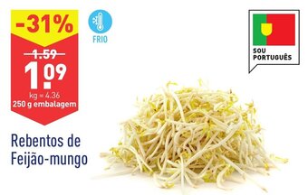 Rebentos de Feijão Mungo 250g