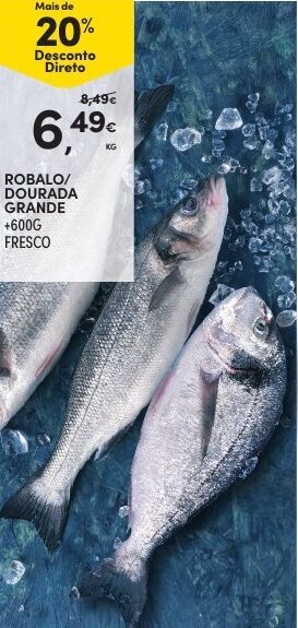 Robalo/Dourada Grande +600g