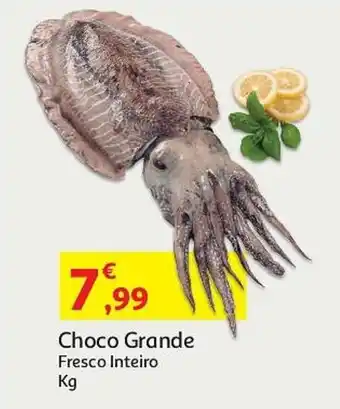 Auchan Choco Grande Fresco Inteiro Kg promoção