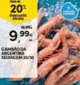 Continente Gambão da Argentina Selvagem 20/30 promoção