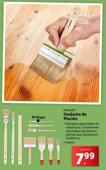 Lidl Parkside Conjunto de Pincéis promoção
