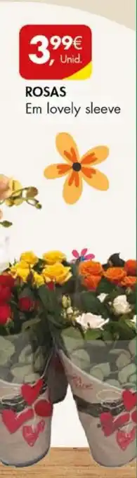 Pingo Doce ROSAS Em lovely sleeve promoção