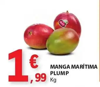 E.Leclerc MANGA MARÍTIMA PLUMP Kg promoção