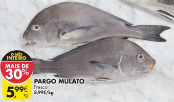 Pargo Mulato