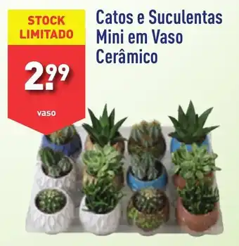 ALDI Catos e Suculentas Mini em Vaso Ceramico promoção