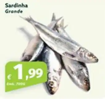 Sardinha Grande