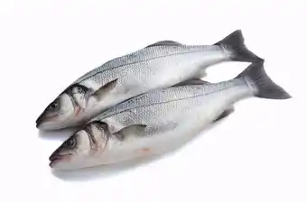 Makro Metro Chef, Robalo (BSS), Aquacultura - Origem Espanha , Calibre 1.4/1.8KG - Inteiro, sem transformacao promoção