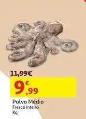 Auchan Polvo medio promoção