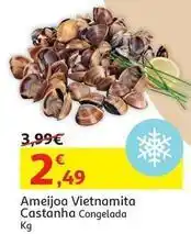 Auchan Ameijoa vietnamita castanha promoção