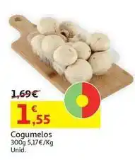 Auchan Cogumelos promoção