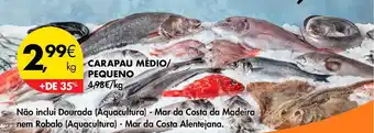 Pingo Doce CARAPAU MÉDIO/ PEQUENO kg promoção
