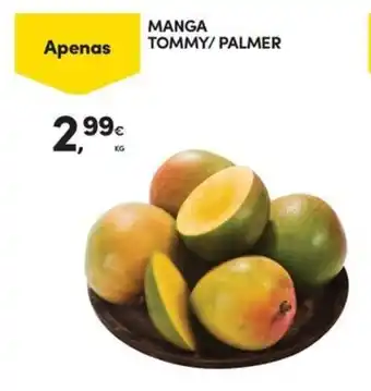 Continente MANGA TOMMY/PALMER promoção