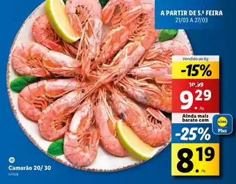 Lidl Camarão 20/30 Vendido ao kg promoção