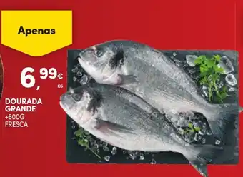 Continente DOURADA GRANDE +600G FRESCA promoção