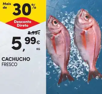 Continente CACHUCHO FRESCO KG promoção