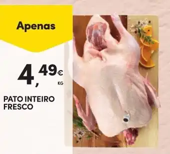 Continente PATO INTEIRO FRESCO KG promoção