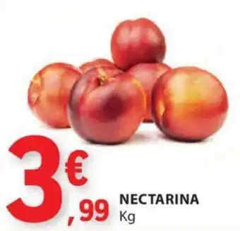 NECTARINA kg