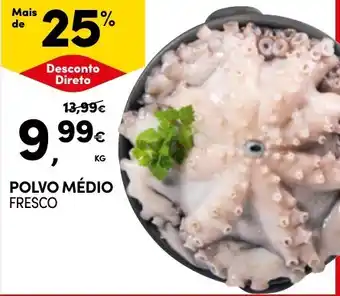 Continente POLVO MÉDIO FRESCO KG promoção