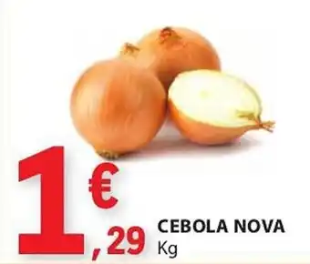 E.Leclerc CEBOLA NOVA Kg promoção