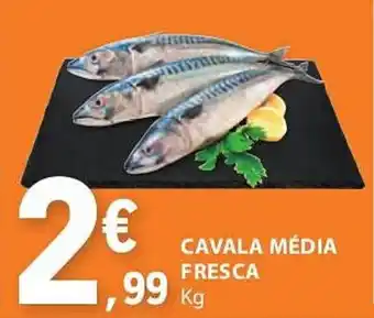 CAVALA MÉDIA FRESCA Kg