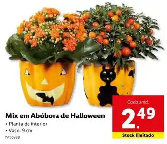 Mix em Abóbora de Halloween 9cm