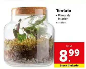 Lidl Terrário Planta de Interior promoção