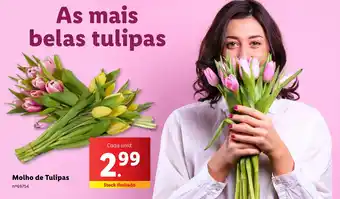 Lidl Molho de Tulipas promoção