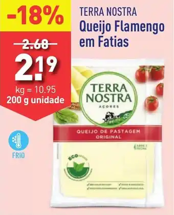 ALDI TERRA NOSTRA Queijo Flamengo em fatias 200 g unidade promoção