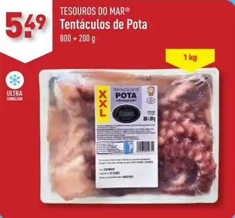 TESOUROS DO MAR Tentáculos de Pota