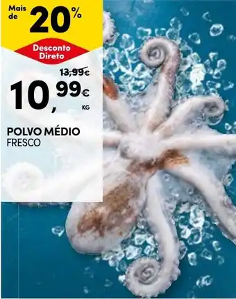 Continente POLVO MÉDIO FRESCO kg promoção