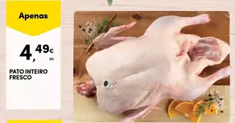 Continente PATO INTEIRO FRESCO KG promoção