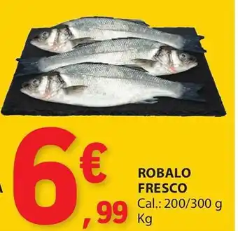 E.Leclerc ROBALO FRESCO Cal.: 200/300 g Kg promoção