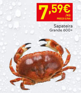 Recheio Sapateira Grande 600+ promoção