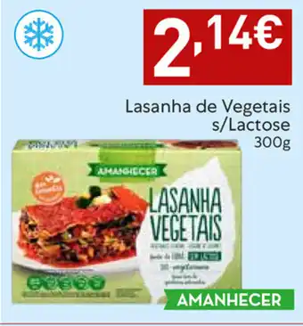 Lasanha de Vegetais s/Lactose 300g
