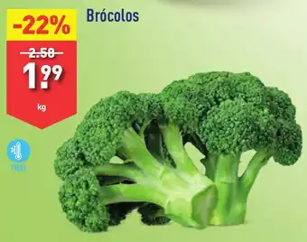 ALDI Brócolos kg promoção