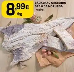 Intermarché Bacalhau crescido de 1.a da noruega promoção