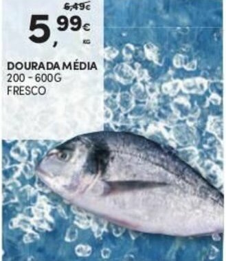 Continente Dourada Média 200-600g Fresco promoção