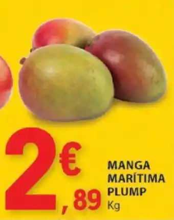 E.Leclerc MANGA MARÍTIMA PLUMP Kg promoção