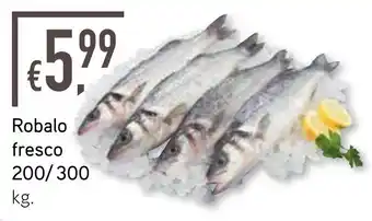 Bolama Robalo fresco 200/300 kg. promoção