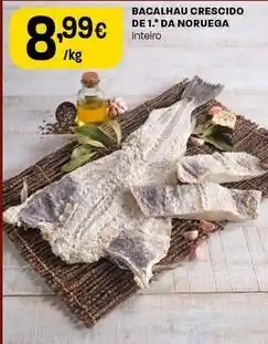 Intermarché Bacalhau crescido de 1. da noruega promoção